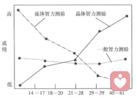 晶体智力
即称文化知识智力
要通过掌握社会文化经验获得智力
人类已经学会和掌握知识与技能
词汇量，数字能力，历史和文化常识等等
在实践中习得经验为基础与后天学习社会文化有密切关系
在25岁发展速度渐趋平缓配图