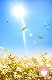 不管处于什么状态
生活的目标永远是健康和快乐配图