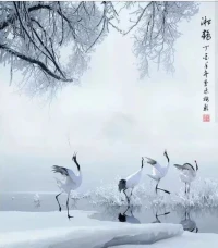 不慌不忙，慢慢成長
不急不躁，隨遇而安配圖