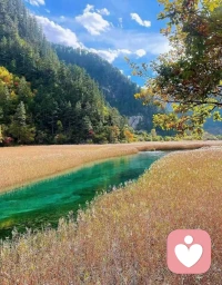 家長陪伴孩子的目的不是監督，是共情和愛，是給孩子足夠的安全感和底氣，靜等花開。配圖