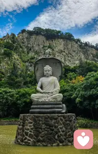 “人生是不斷與理想的自己進行比較，而不是活在他人的評價之下，我們不是為了滿足別人的期待而活著，而是為了自己活出自己的人生。” 
—— 阿德勒配圖