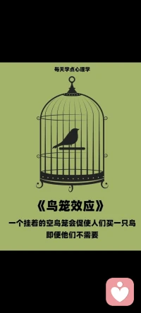 鳥籠邏輯，又稱“空鳥籠效應(yīng)”，是人類難以擺脫的十大心理之一。它描述了一個(gè)心理現(xiàn)象：當(dāng)一個(gè)空的鳥籠被放置在某個(gè)地方，特別是顯眼的位置時(shí)，人們會(huì)傾向于在其中放入一只鳥，或者將鳥籠移走，以避免不斷向他人解釋這個(gè)空鳥籠的存在。這反映了人類思維中的一種慣性，即傾向于將事物與其常見的用途或狀態(tài)相匹配。配圖