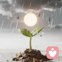 心理彈性幫助我們從挫折中快速恢復??。培養堅韌精神，迎接每一個挑戰！#心理彈性 ????配圖