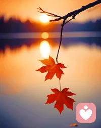 忽有故人心上过，回首山河已是秋。
他朝若是同淋雪，此生也算共白头。
白头若是雪可替，世间何来伤心人。
此时若有君在侧，何须淋雪作白头。