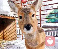 无论何时，无论何地，明白自己的无知都是人生智慧的永恒主题。配图