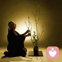 一心禅寂，摄诸乱意。 
—— 《维摩诘经》