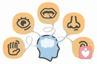 感知觉是人脑对直接作用于感觉器官的客官事物的外在特征的反应，是现实刺激和已经储存在大脑中的知识和经验相互作用的结果。认识的感性阶段，是其他认识活动的基础。