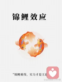 锦鲤效应‌是指人们将锦鲤视为吉祥物，通过积极心理暗示、行为激励等途径追求好运的文化与心理现象，其本质是对不确定性压力的心理调节方式 。‌‌配图
