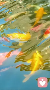 己所欲亦勿施于人 ！配图