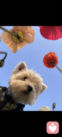 有人的地方，就有否定的声音。我们经常会听到“你不行”的评价，这种声音可能来自父母、朋友，也可能来自领导、同事，抑或是陌生人。伴随它而来的还有焦虑、慌张，甚至恼羞成怒等负面情绪。