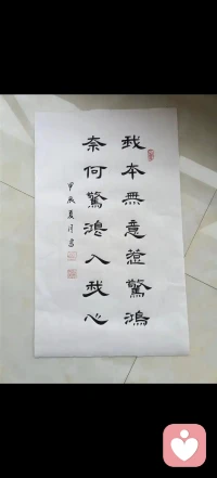 我本无意惹惊鸿，奈何惊鸿入我心❤。配图