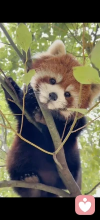 “你能得到幸福，是因为你有了自己所喜欢的东西，而不是你有了别人认为好的东西。” —— 拉劳士福古（法国作家）配图