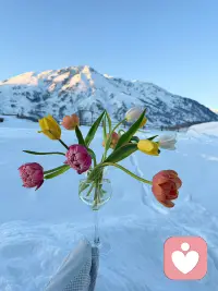 ?說有力量就有力量，說劃邊界就劃邊界，說告別過去就告別過去，說活在當下就活在當下，說到做到，干脆爽利，那是讓人腦嗨的爽文，那不是真實的心理成長歷程。真實的心理成長歷程，很可能是反復在坑里打轉，從坑里爬出來以后也是走走停停，甚至走三步退兩步，但真實感受就是這樣一點一點確認的，真實自我就是這樣一點一點確立的。配圖