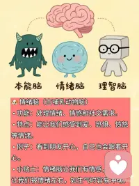 你有三个脑！心理学课堂
我们的大脑其实是由三个部分组成的
分别是爬行脑、情绪脑和理智脑。
它们分别负责不同的功能，
而且是按照进化顺序逐渐形成的。