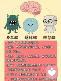 你有三个脑！心理学课堂
我们的大脑其实是由三个部分组成的
分别是爬行脑、情绪脑和理智脑。
它们分别负责不同的功能，
而且是按照进化顺序逐渐形成的。