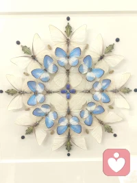 婚姻是愛情的墳墓嗎？為什么戀愛的時候兩個人那么好，婚姻之后就變得一地雞毛呢？這樣婚姻還有什么辦法能夠挽救嗎？我是寧馨，我在這里等你配圖
