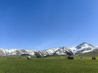 赠人玫瑰，手留余香，这就是助人的意义，输出皆有意义，做自己是一件快乐的事。