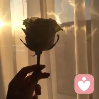 在這紛繁復雜的世界里，每個人的內心都是一座神秘的城堡，藏著無數的喜怒哀樂。試著推開那扇緊閉的心門，去傾聽、去感受，你會發現，理解別人的心情，是給予他們最溫暖的擁抱。配圖