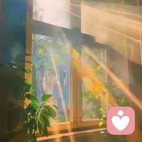 理解他人的心情，不是簡(jiǎn)單的換位思考，而是用心去觸摸那隱藏在笑容背后的淚水，用愛(ài)去溫暖那被孤獨(dú)冰封的心靈。因?yàn)槎茫源缺Ｅ鋱D