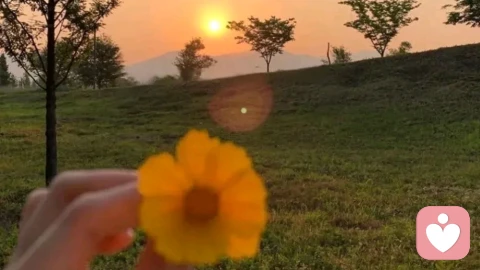 你的情绪卡点，90%是因为少了这个底层视角