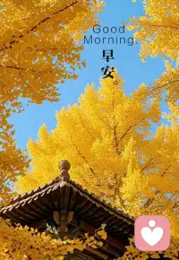 假如你失聲痛哭
?真心流下的眼淚中含有大量與壓力有關的激素和神經遞質。
由此可以認為，眼淚是身體在壓力下清除有害化學物質的途徑，忍住不哭也就讓身體無法自然排毒，最終會導致免疫力、記憶力和消化能力都將受到影響配圖