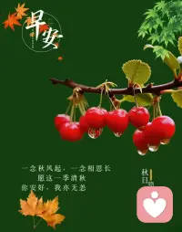 [愛心]對于家庭治療的看法和經驗：
叛逆其實就是一個信息
它告訴你有一些東西需要改變了。這并不代表只有孩子需要去改變，有時候是整個家庭都需要做改變的。
很多家庭最大的問題是，夫妻雙方如果總以指責和爭吵解決問題，孩子就不會有高的自尊，也不會尊重自己和別人，這種創傷可能會導致一個人一生都沒有安全感和渴望愛。
          和孩子發生聯結。
我們現在很少能聽到孩子內在的聲音，大都是從外在行為上回應他們。如果我們能夠聽到孩子內心有什么樣的感受，他們才可以和你分享他的那些感受。你不見得需要完全接受，但是你至少要能聽到他的內在發出了哪些聲音配圖