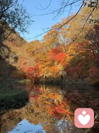 [愛心]心理學中有一個現象叫：心理創傷的代際傳遞，意思就是上一代的心理創傷會無意識地傳遞到下一代。
因為祖父輩們經歷了那些創傷，造成了巨大的心理創傷，內心充滿恐懼、匱乏和自卑，所以性格非常情緒化，對待孩子往往非打即罵，而且過去打孩子打的是非常狠的，而因為上一代自卑，那么在教育孩子的時候，有些就是對孩子抱有很高的期望，有些就是經常跟別的孩子做比較，有些則是干脆就是否定自己的孩子，那么就在這樣打罵、期望、比較、否定的環境下，就成功地把恐懼和自卑傳遞給了下一代。也因為匱乏，在滿足孩子的時候，基本上很難滿足，甚至經常指責孩子的需要，同樣也傳遞了匱乏感。
還有就是成年人越來越多的心理問題，其實所謂心理疾病的本質是人的心理需要長期沒有得到滿足所導致的心理失衡，例如從小安全感需要沒有得到滿足的，內心就是恐懼的，容易出現恐懼癥、強迫癥等，從小沒有得到認可的，經常被否定的就會自卑，而自卑會引發很多心理疾病，諸如社交恐懼癥、焦慮癥、完美主義強迫癥、抑郁癥、雙相情感障礙，從小沒有得到愛的滿足，內心對愛就很匱乏，在經歷一些感情波折后就容易得抑郁癥。配圖