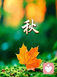 ❤️抑郁症并不可怕，可怕的是你认为抑郁症很可怕。因害怕而开始负性自我认同，因自卑而在关系中节节败退！不是抑郁好了你自信，而是你不把抑郁当回事，努力前行，自信就回来了！❤️
❤️悲秋：莫名的伤感、心悸、心慌慌、胸闷、呕吐、抖、失眠、记忆减退．．．．季节性抑郁症的症状表现除了包括抑郁症的一般症状：焦虑、易怒、对事物兴趣索然、社会活动减少、注意力无法集中以外，还有本身独特的特点。
悲秋抑郁本质是季节性情感障碍。多数属于轻度情绪波动，可心理咨询自行调节。多外出走动．．．配图
