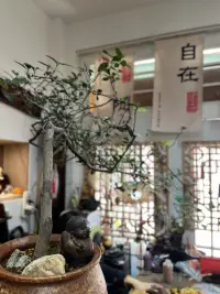 你不快樂的原因，是因為你沒有好好愛自己。你常常為別人消耗自己，你總是因為一件小事胡思亂想一整天，你不夠自私，什么都替別人著想，慣壞了別人，卻委屈了自己。不要總是糾結已經發生的事，沒必要為無法改變的事而浪費一整天的快樂。配圖