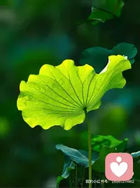 教育子女是一生最重要的投資。
但幫扶不是包辦，關愛不是控制。
不需要時默默守護，需要時及時出現。
讓兒女學會飛翔，你才能安心老去。配圖