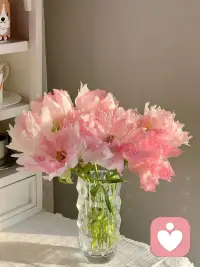 關于人性玄學：
人生四不笑：
不笑天災，不笑人禍，不笑疾病，不笑殘疾。
人生四不說：
不說太勞累，不說心里苦，不說自己窮，不說太富有。