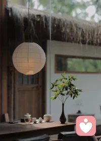 人痛苦的原因有兩種
第一種是無知
第二種是懂得太多配圖