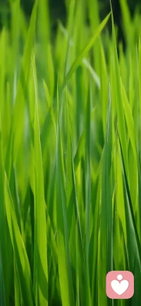 眼下的目標：活下去，要在這世上給自己活的起！配圖