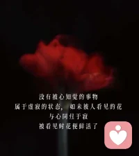 你需要被看見
哪怕是毀滅自己的方式
你的努力和渴望
終究被成全了
我看見了配圖