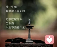 人生就是一場精準無誤的能量匹配配圖