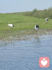 我們都在努力的生活配圖