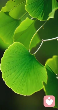 人生沒有完美，曲折亦風景，看開，想通，就是完美！清清楚楚看昨天，扎扎實實抓今天，高高興興看明天。向昨天要經驗，向明天要動力，向今天要成果。配圖