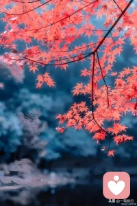 秋風(fēng)拂面，
心情愉悅，
感受著大自然的恩賜，
讓我們一起享受這美好的時(shí)光。配圖