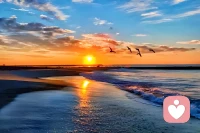 假期，
是心靈的牧場，
讓疲憊的靈魂得以休憩，
重新煥發生機。
早安配圖