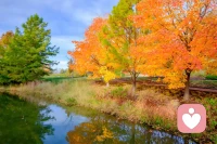 心如晴空，
一抹微笑在唇邊綻放，
愉悅的心情如秋風(fēng)拂過，
滿目皆是溫柔色彩。配圖