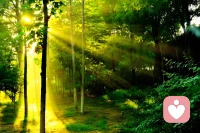 心中寧?kù)o，就不會(huì)被流言所擾，不會(huì)被世俗所惑，不會(huì)被名利所誘，不會(huì)被貪念所侵，不會(huì)被虛榮蒙蔽。唯此，一個(gè)人的生活質(zhì)量才可能不斷提高。配圖