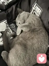 別放大情緒，別為難自己，沒必要跟生活太計較。允許一切發生，然后見招拆招。別貪心，我們不可能什么都有；別擔心，我們不可能什么都沒有。路走多了腳會疼，人想多了心累，情緒解決不了任何問題。把心放寬，把事看淡，往遠處看、往好處想，哪怕有再多不如意，只要能睡著，就都過得去。配圖