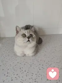 想太多太多就想过头了，所有不开心和愤怒都是自己想出来的，一定要想就往好处想吧，习惯就好。