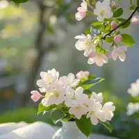 认知不同的人，不要相互拉扯，否则会消耗你的人生，你的能量。
​有很多人哈着你，你都要让她离开的！
