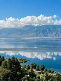 早安語??
一定要靠近能托舉和滋養你的人，
計較里生不出慈悲，
爭吵里養不出優雅，
內耗的環境很難滋養出積極向上的人。
????????????配圖