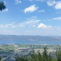 　　今天我们讲一个四块糖的故事，这个故事流传甚广，还被选进了中学课本儿，主要是讲表扬比批评更有力量。
　　抗战期间，陶行知先生。
　　在四川创办了育才学校，他亲自担任校长。
　　有一次，他在校园里看到一个叫网友的学生，正在用泥块儿砸铜般的同学。
　　他当即制止了他，并让他放学以后到校长室去。
　　放学后，陶行知来到了校长室。
　　网友已经等在门口准备挨训了，可是一见面，陶行知却掏出了一块糖递给了网友，并说，这是讲给你的，因为你按时到来，而我却迟到了。
　　网友惊奇的接过糖。
　　随后，陶兴之又掏出一块糖，放在他的手里，说，这块糖也是讲给你的，因为当我不让你打人的时候，你立即就助手了。
　　这说明你很尊重我，我应该奖励你。
　　网友更惊疑了，他的眼睛睁得大大的。
　　陶庆之又掏出第三块糖，塞到了网友的手里，说，我调查过了。
　　你用一块儿砸那些男生，是因为他们不守游戏规则，欺负女生，你砸他们，说明你很正直善良，有跟坏人作斗争的勇气，应该奖励你。
　　网友感动极了，他流着眼泪后悔的说，陶陶校长，你，你打我两下吧，我错了。
　　我砸的不是坏人，而是自己的同学呀。
　　陶兴之满意的笑了，他随即掏出了第四块糖，递过去说，为你能主动认识到错误，我再讲给你一块儿糖，可惜我只有这一块了，我的糖没有了，我看我们的谈话也该结束了吧？
