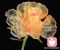 心理学：凭直觉选一朵水晶花，测测最近你将会有哪些意外之喜
A、近期你最好的运气是：你会收获你的爱，你和你最喜欢的人一直处于一种相互支持的状态，但双方都不愿意主动坦白自己的认罪，今年，你会收到他的供词，他一直担心你拒绝了他，他一直不敢坦白，而你的个性很爽朗，给人的印象也很好。但由于这种人有时会给人不知道他的心里在想什么的感觉，所以如果想和他做朋友的话，不妨就稍微夸张地自我推荐一下吧！
B、你不会理财，有点月光族哟，各种美妆败，你很想要让自己手上的金钱得到升值，但是你有点急功近利，你在还没有了解清楚投资项目的时候，就会随心操作，最后很可能会以失败告终，人们常说，不听老人言，吃亏在眼前。你是一个非常谦虚的人，长辈们对你交代的任务总是会一丝不苟的完成，并且他们的话你也会认真听取意见。长辈们对你也是非常欣赏的。
C、你不喜欢平淡的生活，你总是自己的生命中能有一抹亮色，所以你经常会想一些方法来增加生活中光彩。无论是爱情还是友情，你都不愿让自己最在意的人和事显得太单调，所以你总是会再不同的时间段里制造不同的惊喜。你是一个很细致的人，总会有耐心去思考身边事之间的因果关系，更优秀的，是对习以为常的事，也会耐心的去改进或优化，严格要求自己，做事情有条不紊。而近期你的意外之喜就是你自己创造的哦！
D、近期你还是可以发一笔小横财的，毕竟你的思维能力比较强，也很活跃，所以偶尔也能中个小奖啥的，给自己的生活增添一些趣味。生活中你是一个很聪明的人，真诚的热情，思考是快速而灵活的。喜欢交朋友，有良好的表达能力和感染力，容易接受新事物，不喜欢枯燥的工作。无论走到哪里都有好运庇佑你，可以去争取自己想要的一切。配图