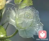 心理学：凭直觉选一朵水晶花，测测最近你将会有哪些意外之喜
A、近期你最好的运气是：你会收获你的爱，你和你最喜欢的人一直处于一种相互支持的状态，但双方都不愿意主动坦白自己的认罪，今年，你会收到他的供词，他一直担心你拒绝了他，他一直不敢坦白，而你的个性很爽朗，给人的印象也很好。但由于这种人有时会给人不知道他的心里在想什么的感觉，所以如果想和他做朋友的话，不妨就稍微夸张地自我推荐一下吧！
B、你不会理财，有点月光族哟，各种美妆败，你很想要让自己手上的金钱得到升值，但是你有点急功近利，你在还没有了解清楚投资项目的时候，就会随心操作，最后很可能会以失败告终，人们常说，不听老人言，吃亏在眼前。你是一个非常谦虚的人，长辈们对你交代的任务总是会一丝不苟的完成，并且他们的话你也会认真听取意见。长辈们对你也是非常欣赏的。
C、你不喜欢平淡的生活，你总是自己的生命中能有一抹亮色，所以你经常会想一些方法来增加生活中光彩。无论是爱情还是友情，你都不愿让自己最在意的人和事显得太单调，所以你总是会再不同的时间段里制造不同的惊喜。你是一个很细致的人，总会有耐心去思考身边事之间的因果关系，更优秀的，是对习以为常的事，也会耐心的去改进或优化，严格要求自己，做事情有条不紊。而近期你的意外之喜就是你自己创造的哦！
D、近期你还是可以发一笔小横财的，毕竟你的思维能力比较强，也很活跃，所以偶尔也能中个小奖啥的，给自己的生活增添一些趣味。生活中你是一个很聪明的人，真诚的热情，思考是快速而灵活的。喜欢交朋友，有良好的表达能力和感染力，容易接受新事物，不喜欢枯燥的工作。无论走到哪里都有好运庇佑你，可以去争取自己想要的一切。配图