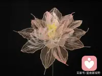 心理学：凭直觉选一朵水晶花，测测最近你将会有哪些意外之喜
A、近期你最好的运气是：你会收获你的爱，你和你最喜欢的人一直处于一种相互支持的状态，但双方都不愿意主动坦白自己的认罪，今年，你会收到他的供词，他一直担心你拒绝了他，他一直不敢坦白，而你的个性很爽朗，给人的印象也很好。但由于这种人有时会给人不知道他的心里在想什么的感觉，所以如果想和他做朋友的话，不妨就稍微夸张地自我推荐一下吧！
B、你不会理财，有点月光族哟，各种美妆败，你很想要让自己手上的金钱得到升值，但是你有点急功近利，你在还没有了解清楚投资项目的时候，就会随心操作，最后很可能会以失败告终，人们常说，不听老人言，吃亏在眼前。你是一个非常谦虚的人，长辈们对你交代的任务总是会一丝不苟的完成，并且他们的话你也会认真听取意见。长辈们对你也是非常欣赏的。
C、你不喜欢平淡的生活，你总是自己的生命中能有一抹亮色，所以你经常会想一些方法来增加生活中光彩。无论是爱情还是友情，你都不愿让自己最在意的人和事显得太单调，所以你总是会再不同的时间段里制造不同的惊喜。你是一个很细致的人，总会有耐心去思考身边事之间的因果关系，更优秀的，是对习以为常的事，也会耐心的去改进或优化，严格要求自己，做事情有条不紊。而近期你的意外之喜就是你自己创造的哦！
D、近期你还是可以发一笔小横财的，毕竟你的思维能力比较强，也很活跃，所以偶尔也能中个小奖啥的，给自己的生活增添一些趣味。生活中你是一个很聪明的人，真诚的热情，思考是快速而灵活的。喜欢交朋友，有良好的表达能力和感染力，容易接受新事物，不喜欢枯燥的工作。无论走到哪里都有好运庇佑你，可以去争取自己想要的一切。配图