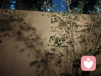 “焦慮的原因就兩條：   想同時(shí)做很多事，又想立即看到結(jié)果。”配圖